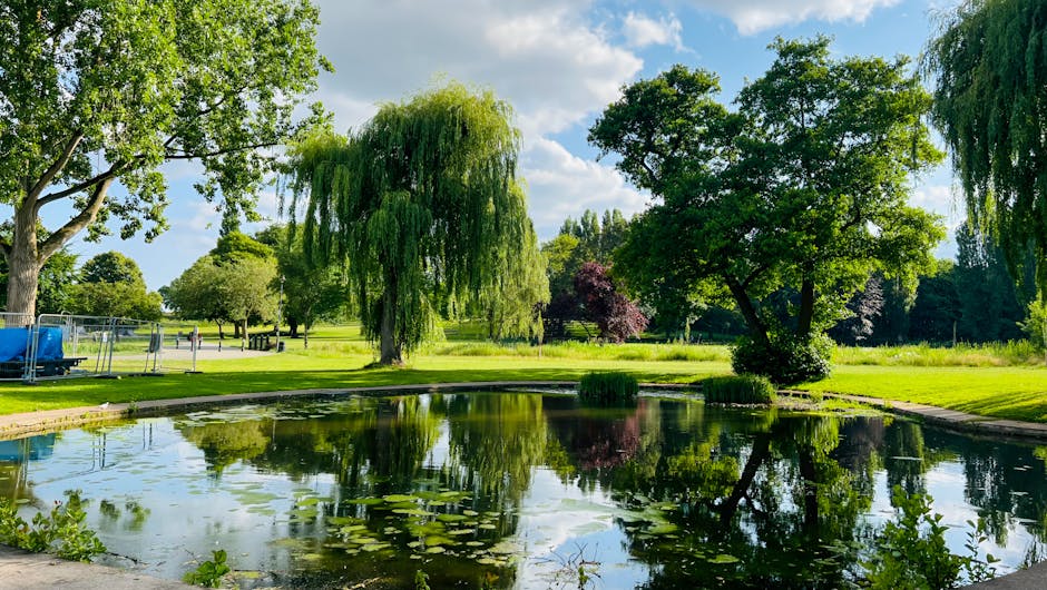 The image shows a peaceful lakeside scene during daytime with clear, calm water reflecting the surrounding greenery. Several ducks are floating on the lake, swimming near the shoreline, which is shaded by large, leafy trees with dense foliage. The trees extend over the water, creating a natural canopy and casting dappled shadows on the grassy and dirt area at the edge of the lake. In the background, a water fountain is visible, adding a gentle spray to the tranquil setting. This outdoor environment is part of a park, offering a serene location for relaxation or leisure activities. Although it is not directly related to house removals, the scene exemplifies a typical outdoor environment that could be encountered during moving or relocation activities involving nearby parks or natural areas, such as those in Waddon. Man with Van Waddon provides professional moving and furniture transport services, including packing and loading for home relocations, which might include areas with such scenic surroundings.